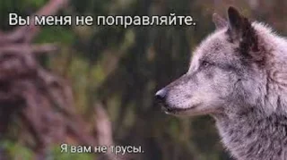 Стикер 🍓Wolf_Stickers🍓 @StickersPackRobot - 0