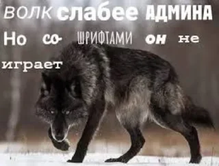 Стикер 🍓Wolf_Stickers🍓 @StickersPackRobot - 1