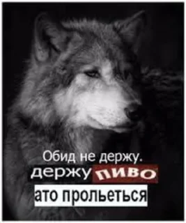 Стикер 🍓Wolf_Stickers🍓 @StickersPackRobot - 4