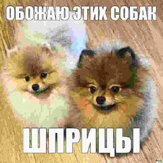 Стикер I'm cringe @StickersPackRobot - 3