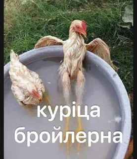 Sticker НУКАНАКА @Tgthemesrobot - 3