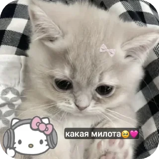 Sticker Били Айлиш @Sticker_tg_robot - 1