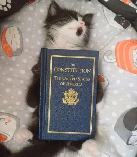 Sticker orlihaSpbPack @Tgthemesrobot - 10