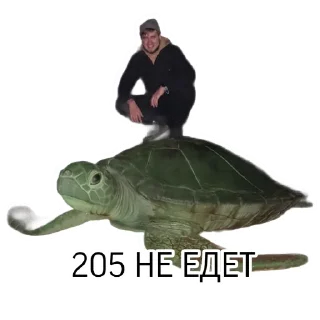 Стикер SUBARU MGN - 8