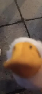 Sticker Мистер гусь @Tgthemesrobot - 2