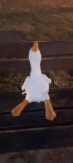 Sticker Мистер гусь @Tgthemesrobot - 1