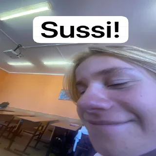 Стикер SUSSI BOY - 2