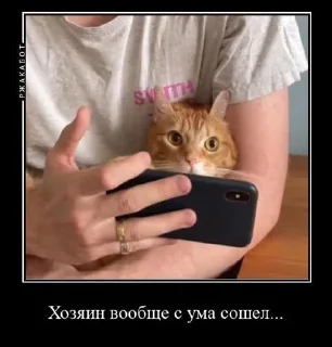 Sticker Гр. Электрофорез - 8