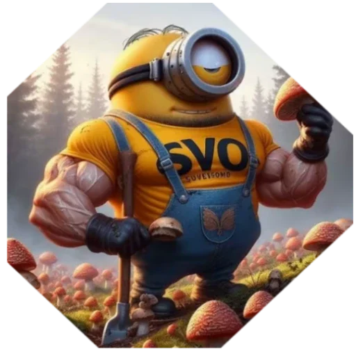 SVO - 
