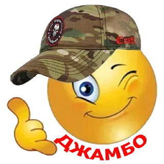 Стикер https://t.me/SVO_i_MY - 2