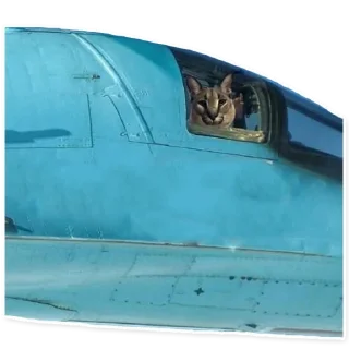 Sticker SVOpack - 11