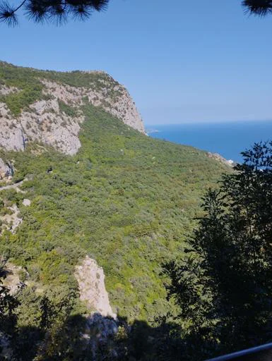 Мои зайцы @Tgthemesrobot - 