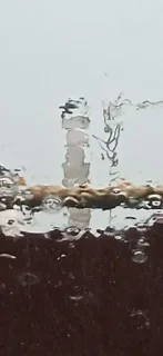 Sticker Мои зайцы @Tgthemesrobot - 7