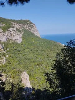 Sticker Мои зайцы @Tgthemesrobot - 9