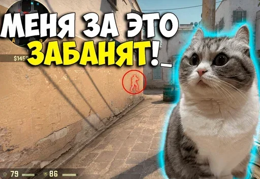 Sticker SVhVGZfQ_by_stickers_stealer_bot - 1