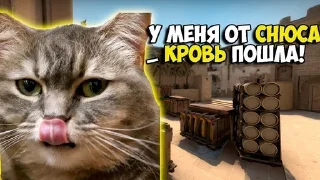 Стикер Больше стикеров: @sticerru - 8