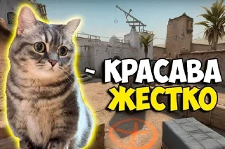 Стикер Больше стикеров: @sticerru - 5