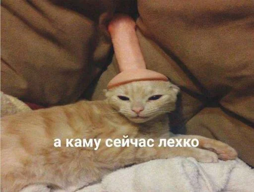 Стикер SXEyzCBraR_by_sticker_emojibot - 1