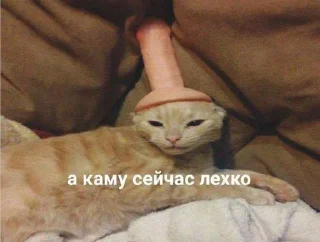 Sticker чочочоч @sticker_emojibot - 11