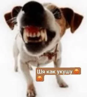 Sticker Тася и много кого @Sticersi_bot - 6