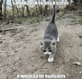 Sticker @StickersFuck1 - 10