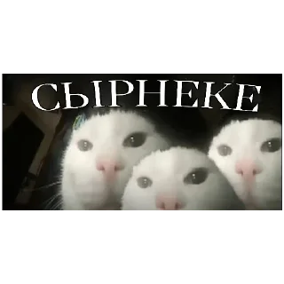 Стикер СЫРНЕКЕ - 9