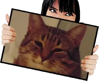 Sticker S-Experiment - 10