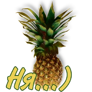 Sticker S-Experiment - 4