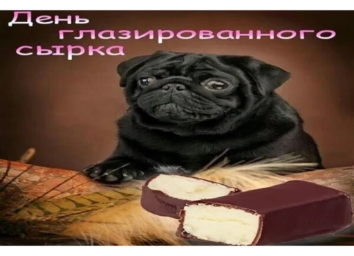 С днем😃 (@Tifidda) - 