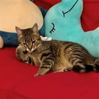 Стикер @SaS7i - 9