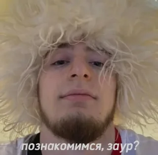 Стикер местные львы 🧚🏾‍♀️ @Tgthemesrobot - 2