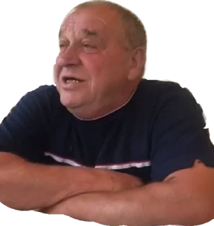 Стикер САНЫЧ - 2