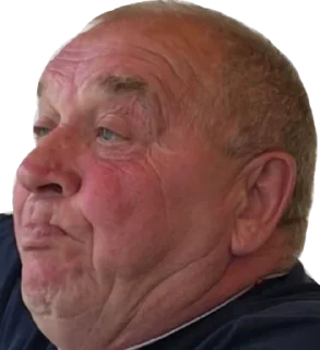 Стикер САНЫЧ - 5