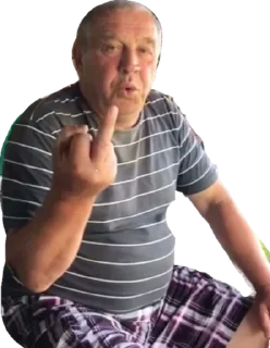 Стикер САНЫЧ - 3