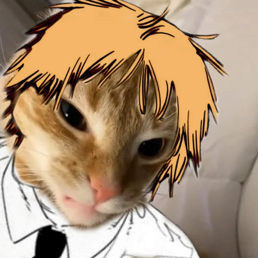 Sticker SabTrans - 1