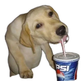 Стикер Сабакина Будка (всрато) - 9