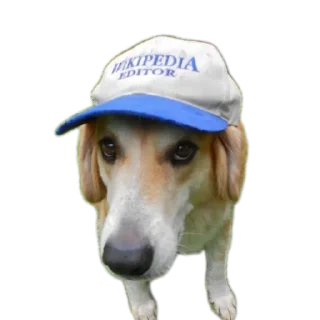 Стикер Сабакина Будка (всрато) - 1