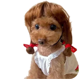 Стикер Сабакина Будка (всрато) - 6