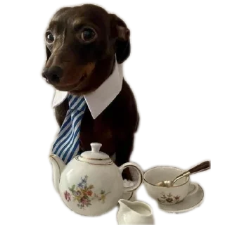 Стикер Сабакина Будка (всрато) - 7