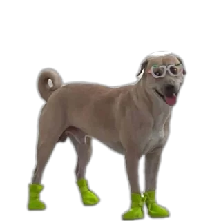 Стикер Сабакина Будка (всрато) - 11