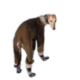 Стикер Сабакина Будка (всрато) - 8