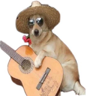 Стикер Сабакина Будка (всрато) - 4