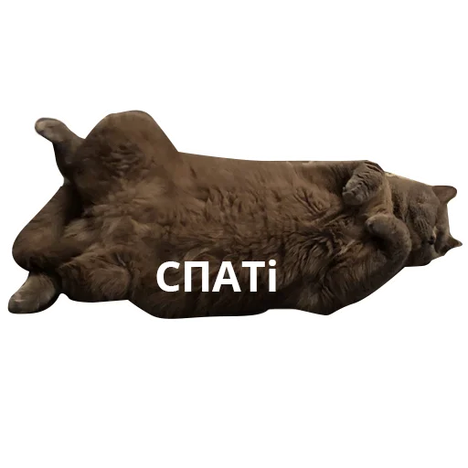 Sticker Пьятницкие - 5