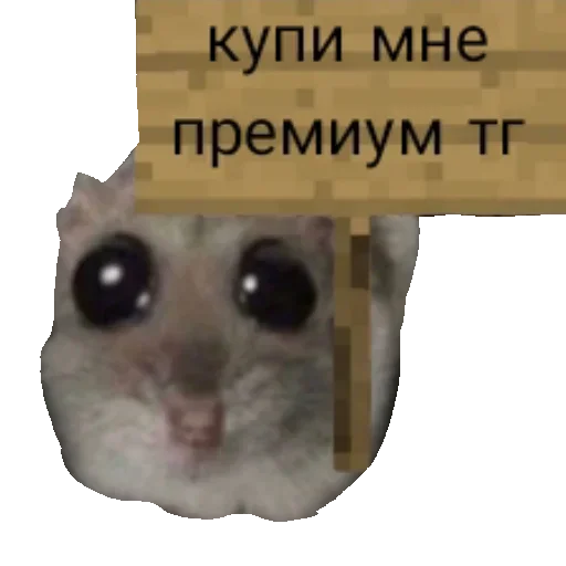 Стикер SadHamster_by_stkpbot - 1
