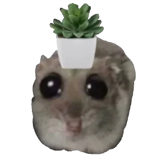 Стикер ∞︎ @stickersff ∞ - 8