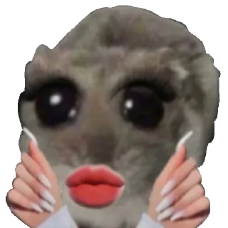 Стикер ∞︎ @stickersff ∞ - 10