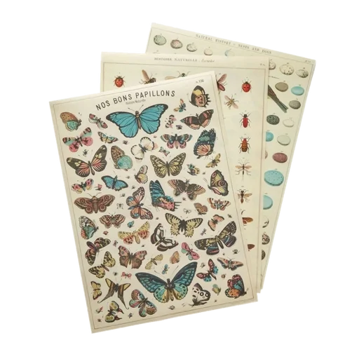 🤍🍄🐇cottagecore by @ler._.ch by @fStikBot - 