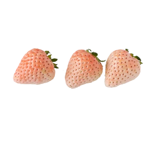 Sticker 🤍🍄🐇cottagecore by @ler._.ch by @fStikBot - 7