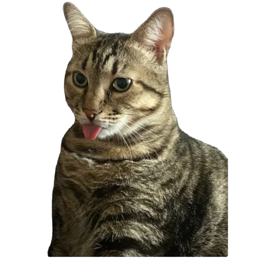 Стикер Sadfman - 1