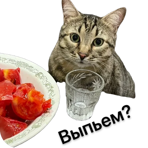 @SadfmanReserve стикеры от Изи - 